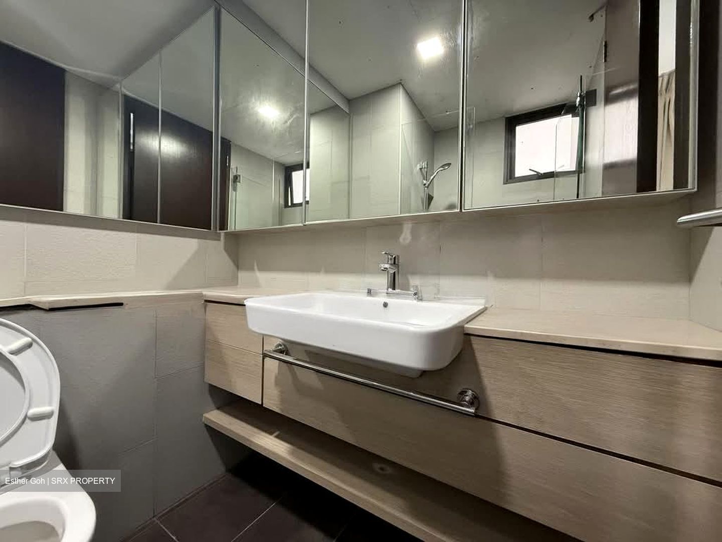 Terrene At Bukit Timah (D21), Condominium #576331241
